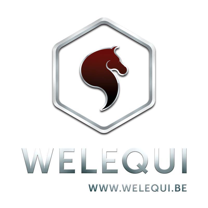 Logo-welequi